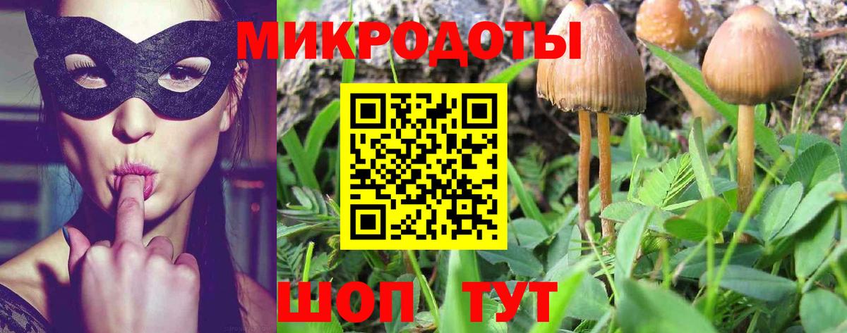 Псилоцибиновые грибы Magic Shrooms Димитровград