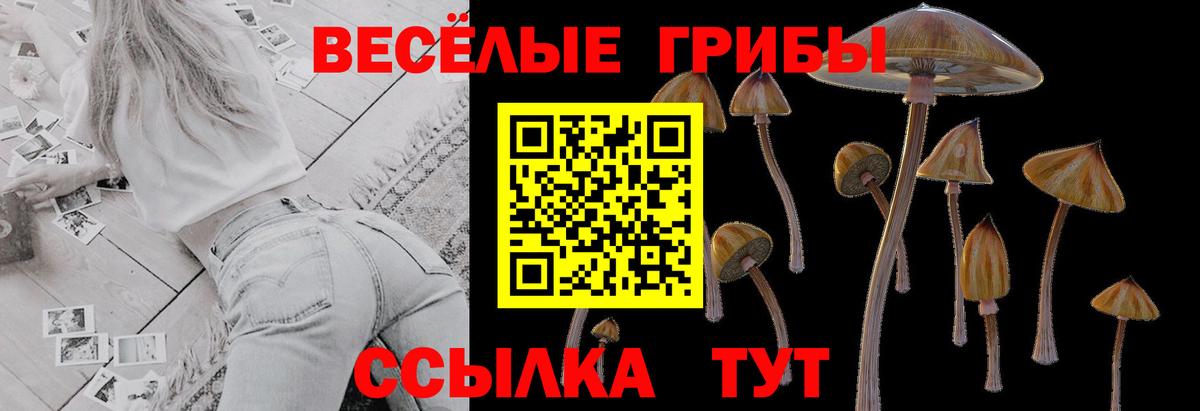 Псилоцибиновые грибы ЛСД  Вход с VPN  Димитровград 